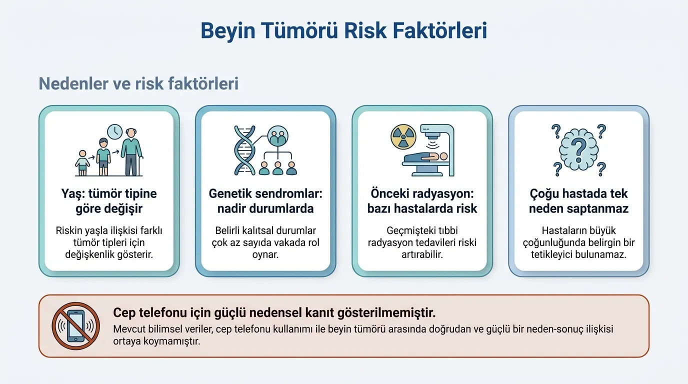 Beyin tümörü risk faktörleri infografik
