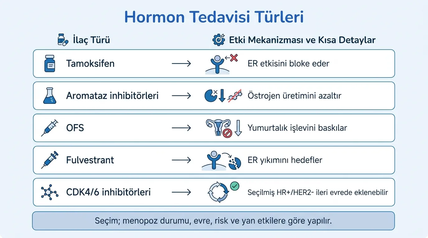 Hormon Tedavisi İlaç Türleri görsel özeti