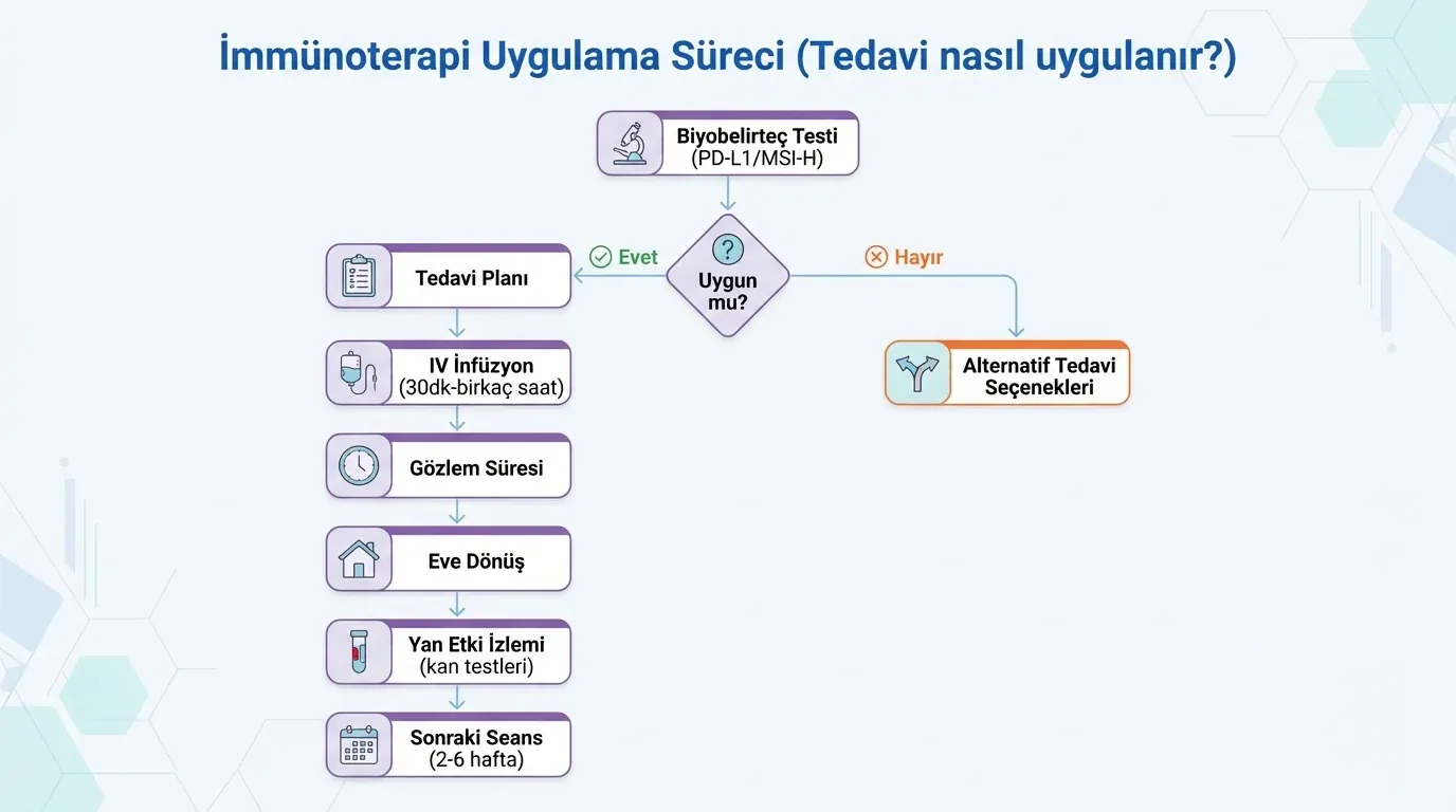 İmmünoterapi Nasıl Uygulanır? görsel özeti