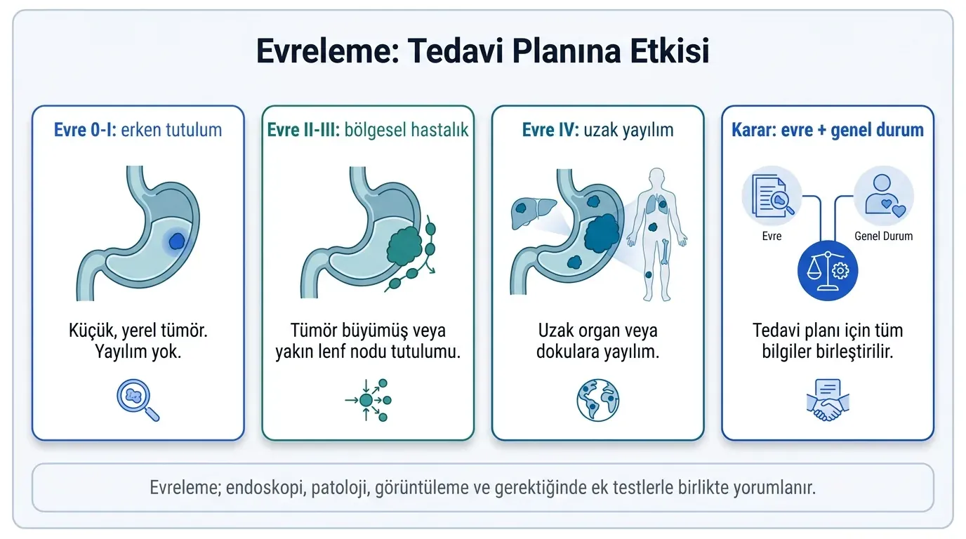Mide Kanseri Tanı ve Evreleme görsel özeti