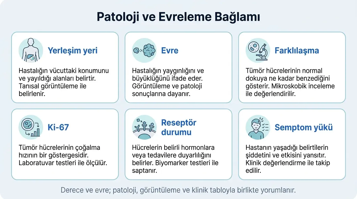 Nöroendokrin Tümör Tanı ve Derecelendirme görsel özeti