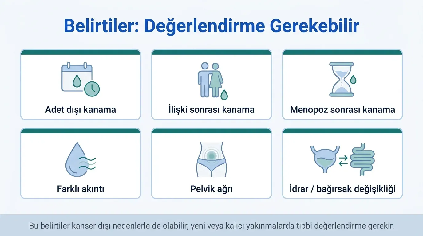 Serviks Kanseri Belirtileri görsel özeti